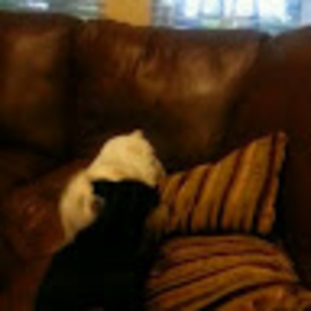 Meet your Posher, Melissa